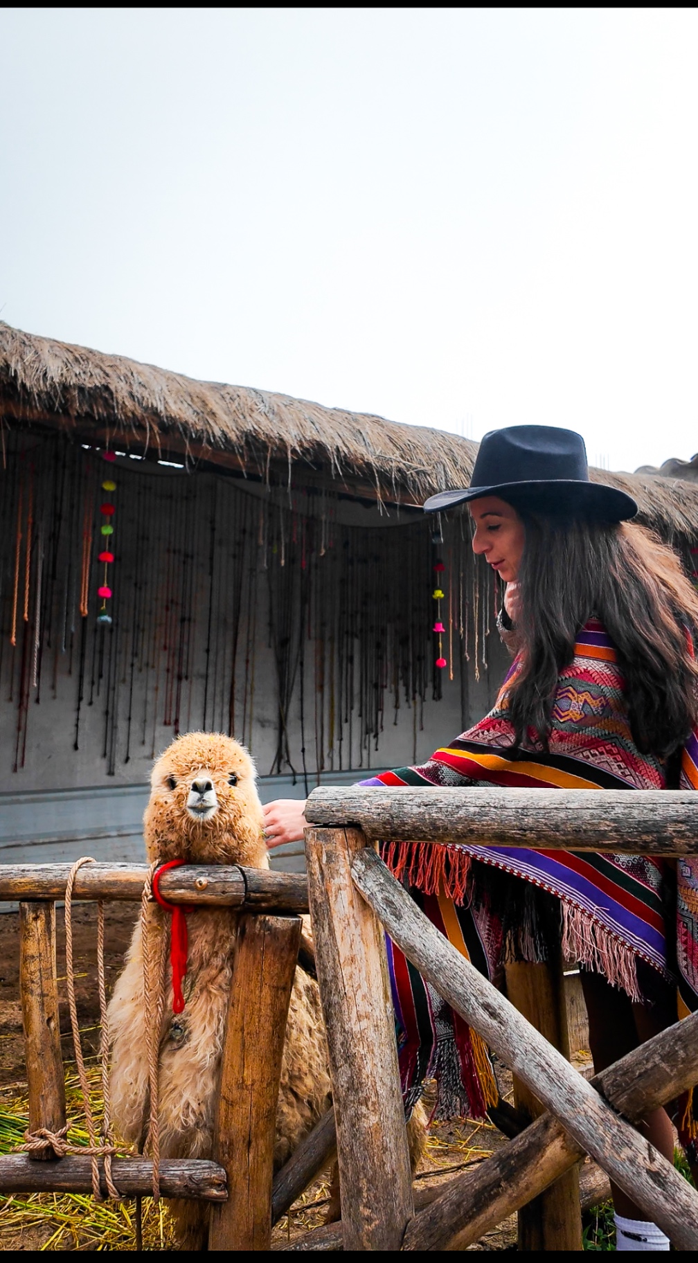 Peru moment